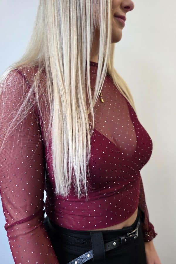 Zartes, bordeaux-farbenes Mesh-Oberteil mit langen transparenten Ärmeln und feinen glitzernden Punkten. Unter dem durchsichtigen Tüll befindet sich ein integriertes, leicht gepolstertes Bralette-Crop-Top im gleichen Farbton. Das Oberteil wirkt feminin, leicht und elegant.